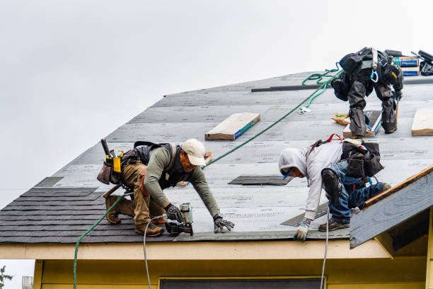 Professional Roofing technician working in Lewisville, ID